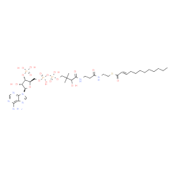 ChemSpider 2D Image | S-{1-[(2R,3S,4R,5R)-5-(6-Amino-9H-purin-9-yl)-4-hydroxy-3-(phosphonooxy)tetrahydro-2-furanyl]-3,5,9-trihydroxy-8,8-dimethyl-3,5-dioxido-10,14-dioxo-2,4,6-trioxa-11,15-diaza-3lambda~5~,5lambda~5~-dipho
sphaheptadecan-17-yl} (2E)-2-dodecenethioate | C33H56N7O17P3S