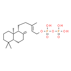 ChemSpider 2D Image | 5beta,9alpha,10alpha-labda-8(20),13-dien-15-yl diphosphate | C20H36O7P2