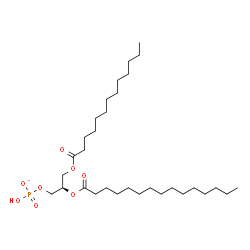 ChemSpider 2D Image | (2R)-2-(Pentadecanoyloxy)-3-(tridecanoyloxy)propyl hydrogen phosphate | C31H60O8P
