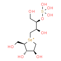 ChemSpider 2D Image | (2R,3S,4S)-1-{(2R,3R)-2,4-Dihydroxy-3-[(trihydroxy-lambda~4~-sulfanyl)oxy]butyl}-3,4-dihydroxy-2-(hydroxymethyl)tetrahydroselenophenium | C9H21O9SSe
