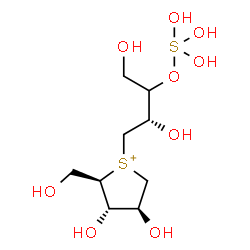 ChemSpider 2D Image | (2R,3S,4S)-1-{(2S)-2,4-Dihydroxy-3-[(trihydroxy-lambda~4~-sulfanyl)oxy]butyl}-3,4-dihydroxy-2-(hydroxymethyl)tetrahydrothiophenium | C9H21O9S2