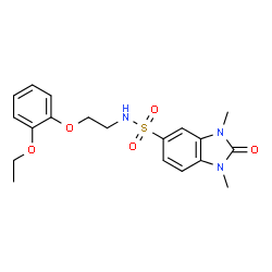 ChemSpider 2D Image | N-[2-(2-Ethoxyphenoxy)ethyl]-1,3-dimethyl-2-oxo-2,3-dihydro-1H-benzimidazole-5-sulfonamide | C19H23N3O5S