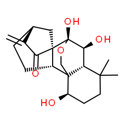 ChemSpider 2D Image | (1beta,5beta,6beta,7alpha,8alpha,9beta,10xi,13alpha)-1,6,7-Trihydroxy-7,20-epoxykaur-16-en-15-one | C20H28O5