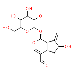 ChemSpider 2D Image | (1S,4aS,6S,7aS)-4-Formyl-6-hydroxy-7-methylene-1,4a,5,6,7,7a-hexahydrocyclopenta[c]pyran-1-yl hexopyranoside | C16H22O9