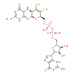ChemSpider 2D Image | 5'-O-[(S)-{[(S)-{[(5aR,8R,9aR)-2-Amino-4-oxo-6,7-disulfanyl-1,4a,5,5a,8,9a-hexahydro-4H-pyrano[3,2-g]pteridin-8-yl]methoxy}(hydroxy)phosphoryl]oxy}(hydroxy)phosphoryl]guanosine | C20H26N10O13P2S2