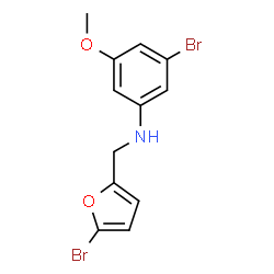 ChemSpider 2D Image | 3-Bromo-N-[(5-bromo-2-furyl)methyl]-5-methoxyaniline | C12H11Br2NO2