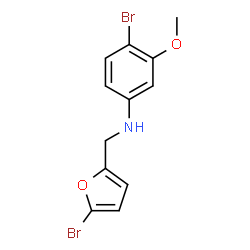ChemSpider 2D Image | 4-Bromo-N-[(5-bromo-2-furyl)methyl]-3-methoxyaniline | C12H11Br2NO2