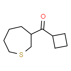 ChemSpider 2D Image | Cyclobutyl(3-thiepanyl)methanone | C11H18OS