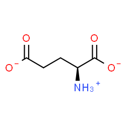 glutamate structure