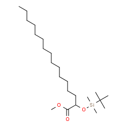 ChemSpider 2D Image | Methyl 2-{[dimethyl(2-methyl-2-propanyl)silyl]oxy}hexadecanoate | C23H48O3Si
