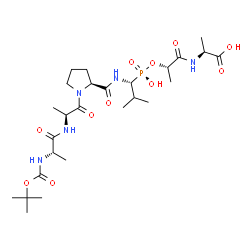 ChemSpider 2D Image | N-{[(2-Methyl-2-propanyl)oxy]carbonyl}-L-alanyl-L-alanyl-N-{(1R)-1-[(R)-{[(2S)-1-{[(1S)-1-carboxyethyl]amino}-1-oxo-2-propanyl]oxy}(hydroxy)phosphoryl]-2-methylpropyl}-L-prolinamide | C26H46N5O11P