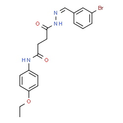 ChemSpider 2D Image | 4-[(2Z)-2-(3-Bromobenzylidene)hydrazino]-N-(4-ethoxyphenyl)-4-oxobutanamide | C19H20BrN3O3