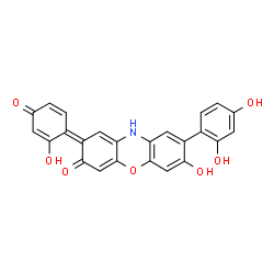 ChemSpider 2D Image | (2Z)-8-(2,4-Dihydroxyphenyl)-7-hydroxy-2-(2-hydroxy-4-oxo-2,5-cyclohexadien-1-ylidene)-2,10-dihydro-3H-phenoxazin-3-one | C24H15NO7