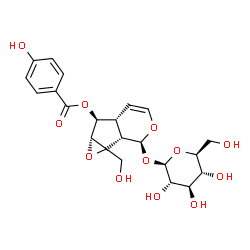 ChemSpider 2D Image | (1bS,2S,5aR,6S,6aR)-2-(beta-L-Glucopyranosyloxy)-1a-(hydroxymethyl)-1a,1b,2,5a,6,6a-hexahydrooxireno[4,5]cyclopenta[1,2-c]pyran-6-yl 4-hydroxybenzoate | C22H26O12
