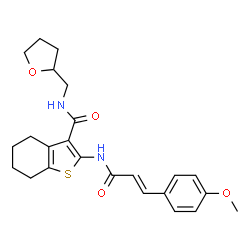 ChemSpider 2D Image | 2-{[(2E)-3-(4-Methoxyphenyl)-2-propenoyl]amino}-N-(tetrahydro-2-furanylmethyl)-4,5,6,7-tetrahydro-1-benzothiophene-3-carboxamide | C24H28N2O4S