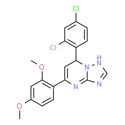ChemSpider 2D Image | 7-(2,4-Dichlorophenyl)-5-(2,4-dimethoxyphenyl)-1,7-dihydro[1,2,4]triazolo[1,5-a]pyrimidine | C19H16Cl2N4O2
