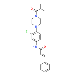 ChemSpider 2D Image | (2E)-N-[3-Chloro-4-(4-isobutyryl-1-piperazinyl)phenyl]-3-phenylacrylamide | C23H26ClN3O2