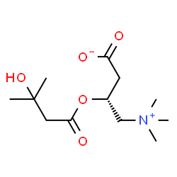 ChemSpider 2D Image | (3R)-3-[(3-Hydroxy-3-methylbutanoyl)oxy]-4-(trimethylammonio)butanoate | C12H23NO5