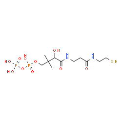 ChemSpider 2D Image | N~3~-(2-Hydroxy-4-{[hydroxy(phosphonooxy)phosphoryl]oxy}-3,3-dimethylbutanoyl)-N-(2-sulfanylethyl)-beta-alaninamide | C11H24N2O10P2S
