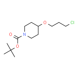 ChemSpider 2D Image | 2-Methyl-2-propanyl 4-(3-chloropropoxy)-1-piperidinecarboxylate | C13H24ClNO3