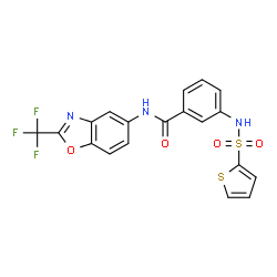ChemSpider 2D Image | 3-[(2-Thienylsulfonyl)amino]-N-[2-(trifluoromethyl)-1,3-benzoxazol-5-yl]benzamide | C19H12F3N3O4S2