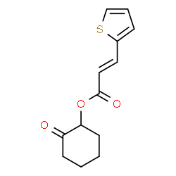 ChemSpider 2D Image | 2-Oxocyclohexyl (2E)-3-(2-thienyl)acrylate | C13H14O3S
