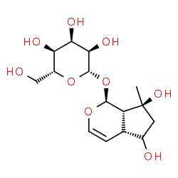 ChemSpider 2D Image | (1S,4aR,7S,7aS)-5,7-Dihydroxy-7-methyl-1,4a,5,6,7,7a-hexahydrocyclopenta[c]pyran-1-yl beta-D-allopyranoside | C15H24O9