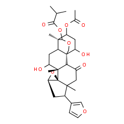 ChemSpider 2D Image | (1S,2R,8R,10R,11S,15R)-21-Acetoxy-6-(3-furyl)-12,19-dihydroxy-5,11,15-trimethyl-3-oxo-9,17-dioxahexacyclo[13.3.3.0~1,14~.0~2,11~.0~5,10~.0~8,10~]henicos-16-yl 2-methylpropanoate | C32H42O10