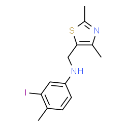 ChemSpider 2D Image | N-[(2,4-Dimethyl-1,3-thiazol-5-yl)methyl]-3-iodo-4-methylaniline | C13H15IN2S