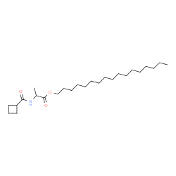 ChemSpider 2D Image | Heptadecyl N-(cyclobutylcarbonyl)alaninate | C25H47NO3