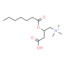 ChemSpider 2D Image | 3-Carboxy-2-(heptanoyloxy)-N,N,N-trimethyl-1-propanaminium | C14H28NO4