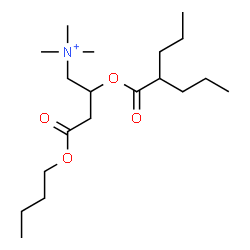 ChemSpider 2D Image | 4-Butoxy-N,N,N-trimethyl-4-oxo-2-[(2-propylpentanoyl)oxy]-1-butanaminium | C19H38NO4