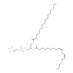 ChemSpider 2D Image | 1-palmitoyl-2-linoleoylphosphatidylcholine | C42H80NO8P