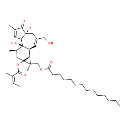 ChemSpider 2D Image | [(1S,1aR,1bS,4aR,7aS,7bR,8R)-4a,7b-Dihydroxy-3-(hydroxymethyl)-1,6,8-trimethyl-9a-{[(2Z)-2-methyl-2-butenoyl]oxy}-5-oxo-1a,1b,4,4a,5,7a,7b,8,9,9a-decahydro-1H-cyclopropa[3,4]benzo[1,2-e]azulen-1-yl]me
thyl myristate | C39H60O8