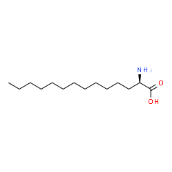 ChemSpider 2D Image | (2R)-2-Aminotetradecanoic acid | C14H29NO2