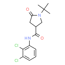 ChemSpider 2D Image | 1-tert-butyl-N-(2,3-dichlorophenyl)-5-oxopyrrolidine-3-carboxamide | C15H18Cl2N2O2