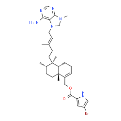 ChemSpider 2D Image | {(4aS,5R,6S,8aR)-5-[(3E)-5-(6-Amino-9-methyl-8,9-dihydro-7H-purin-7-yl)-3-methyl-3-penten-1-yl]-5,6,8a-trimethyl-3,4,4a,5,6,7,8,8a-octahydro-1-naphthalenyl}methyl 4-bromo-1H-pyrrole-2-carboxylate | C31H43BrN6O2
