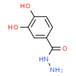 ChemSpider 2D Image | 3,4-Dihydroxybenzohydrazide | C7H8N2O3