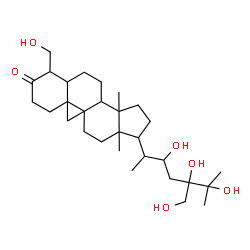 ChemSpider 2D Image | 22,24,25,28-Tetrahydroxy-4-(hydroxymethyl)-14-methyl-9,19-cycloergostan-3-one | C30H50O6