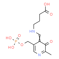 ChemSpider 2D Image | 4-[({2-Methyl-3-oxo-5-[(phosphonooxy)methyl]-4(3H)-pyridinylidene}methyl)amino]butanoic acid | C12H17N2O7P