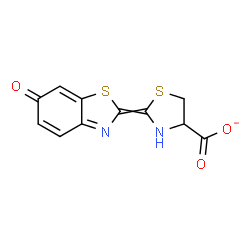 ChemSpider 2D Image | 2-(6-Oxo-1,3-benzothiazol-2(6H)-ylidene)-1,3-thiazolidine-4-carboxylate | C11H7N2O3S2