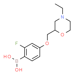 ChemSpider 2D Image | {4-[(4-Ethyl-2-morpholinyl)methoxy]-2-fluorophenyl}boronic acid | C13H19BFNO4