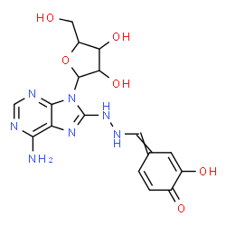 ChemSpider 2D Image | 8-{2-[(3-Hydroxy-4-oxo-2,5-cyclohexadien-1-ylidene)methyl]hydrazino}-9-pentofuranosyl-9H-purin-6-amine | C17H19N7O6