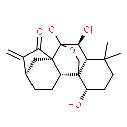 ChemSpider 2D Image | (1alpha,5beta,6beta,8alpha,9beta,10xi,13alpha)-1,6,7-Trihydroxy-7,20-epoxykaur-16-en-15-one | C20H28O5