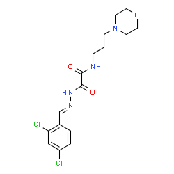 ChemSpider 2D Image | 2-[(2E)-2-(2,4-Dichlorobenzylidene)hydrazino]-N-[3-(4-morpholinyl)propyl]-2-oxoacetamide | C16H20Cl2N4O3