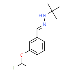 ChemSpider 2D Image | (1E)-1-[3-(Difluoromethoxy)benzylidene]-2-(2-methyl-2-propanyl)hydrazine | C12H16F2N2O