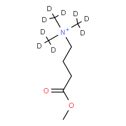 ChemSpider 2D Image | 4-Methoxy-N,N,N-tris[(~2~H_3_)methyl]-4-oxo-1-butanaminium | C8H9D9NO2