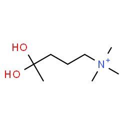 ChemSpider 2D Image | 4,4-Dihydroxy-N,N,N-trimethyl-1-pentanaminium | C8H20NO2