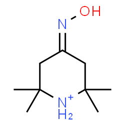 ChemSpider 2D Image | 4-(Hydroxyimino)-2,2,6,6-tetramethylpiperidinium | C9H19N2O