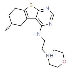 ChemSpider 2D Image | 4-(2-{[(6R)-6-Methyl-5,6,7,8-tetrahydro[1]benzothieno[2,3-d]pyrimidin-4-yl]amino}ethyl)morpholin-4-ium | C17H25N4OS